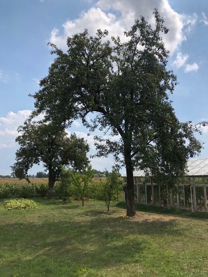 Zagroda U Leny - Dom Na Wylacznosc Czyze Exterior foto